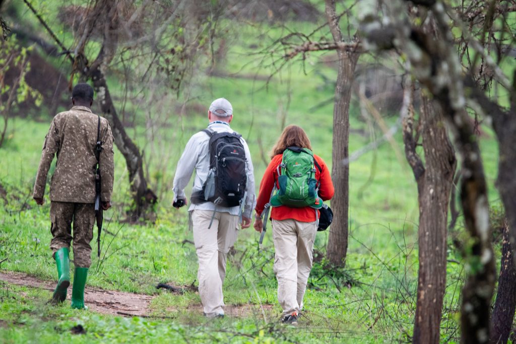  Lake Mburo – Mgahinga — Sunrise Wildlife and Highland Landscapes