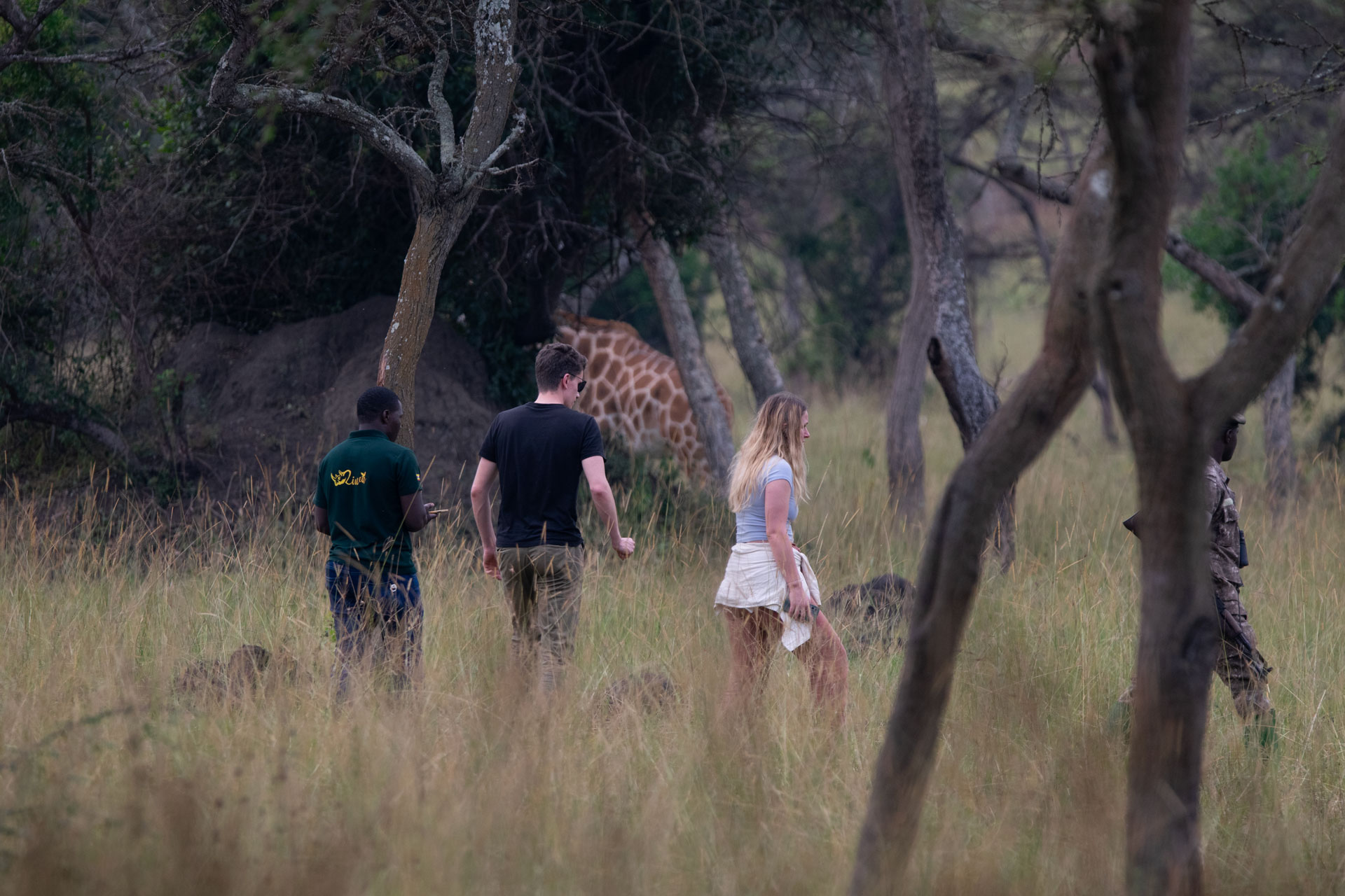 A walk in the wilderness