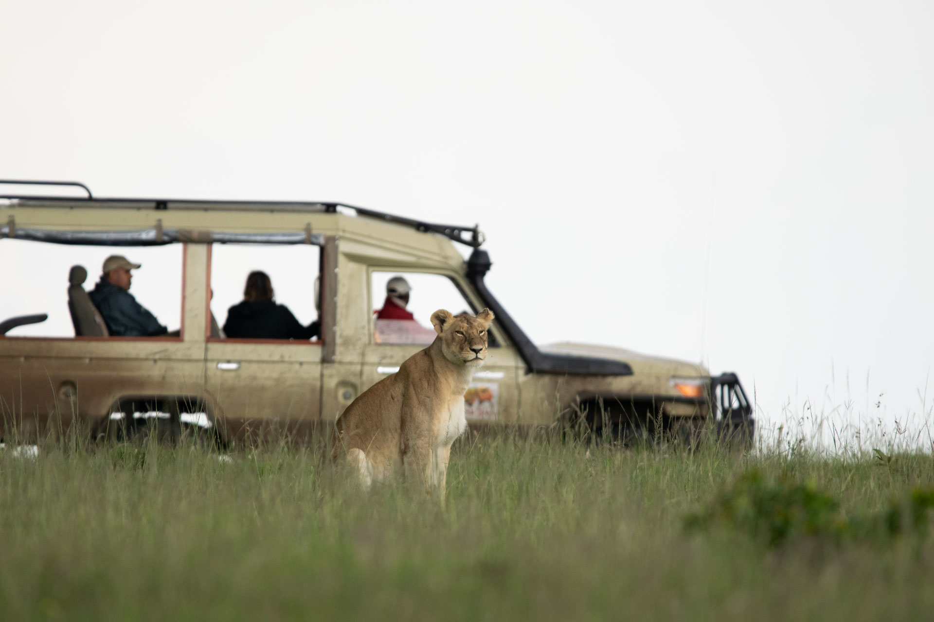Nairobi to Masai Mara National Reserve – Into the Wild