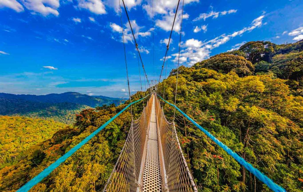 Canopy Walk