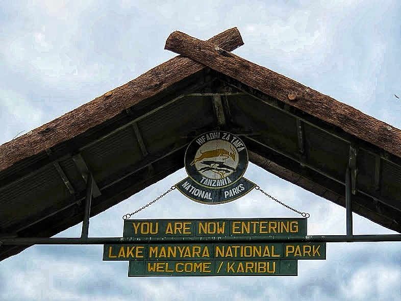 Wildlife Exploration in Lake Manyara National Park