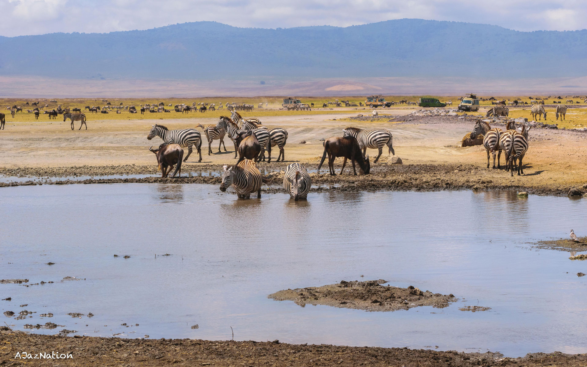  Serengeti – Ngorongoro Crater – Karatu