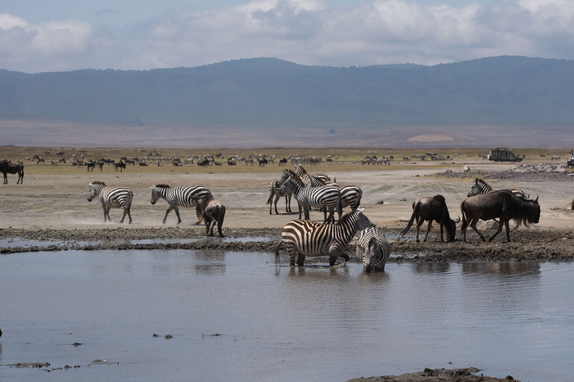 Tanzania-Safari-Experiences