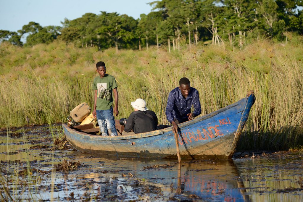 Experince the Canoe through the Mashes