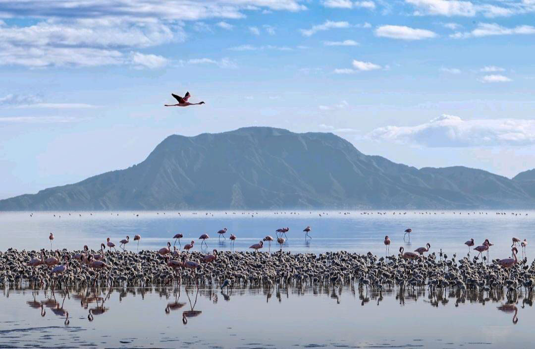 Arusha to Lake Natron and Ngare Sero Waterfalls