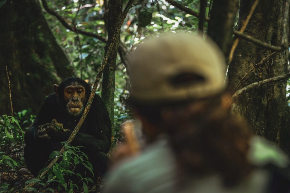 Ultimate experience through the lens