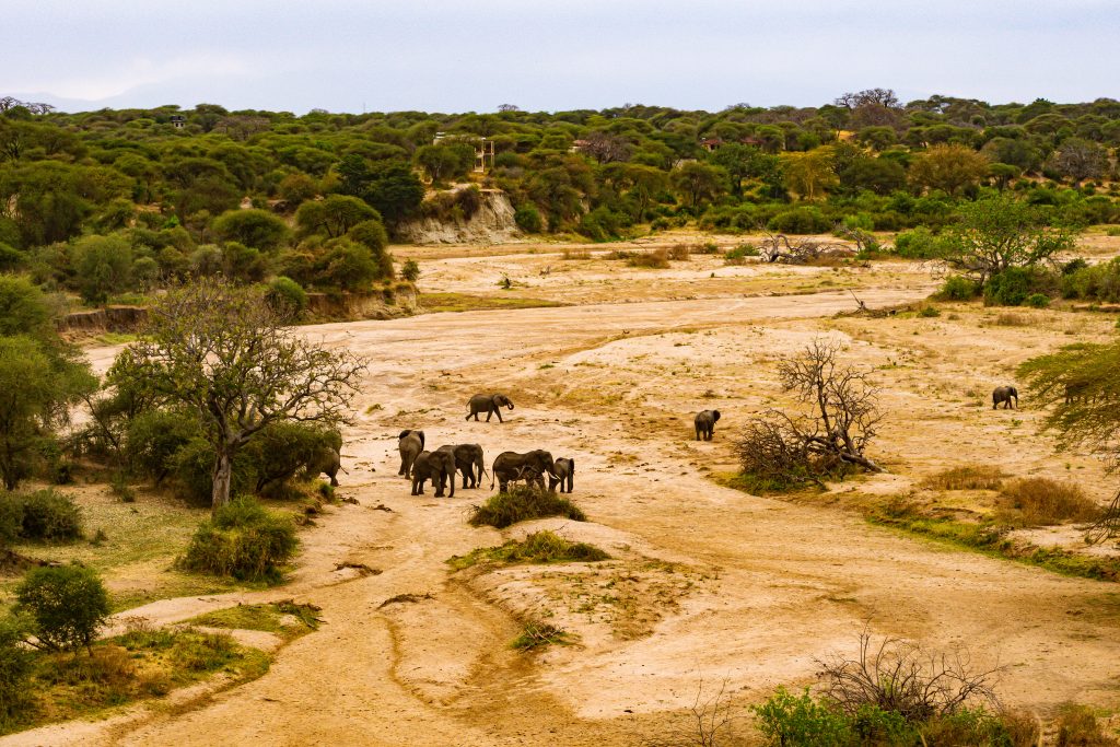 Karatu – Mto wa Mbu – Tarangire National Park