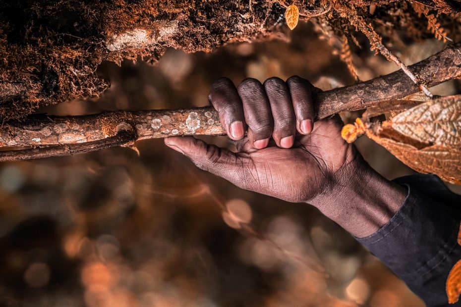 at times resting key during gorilla trekking