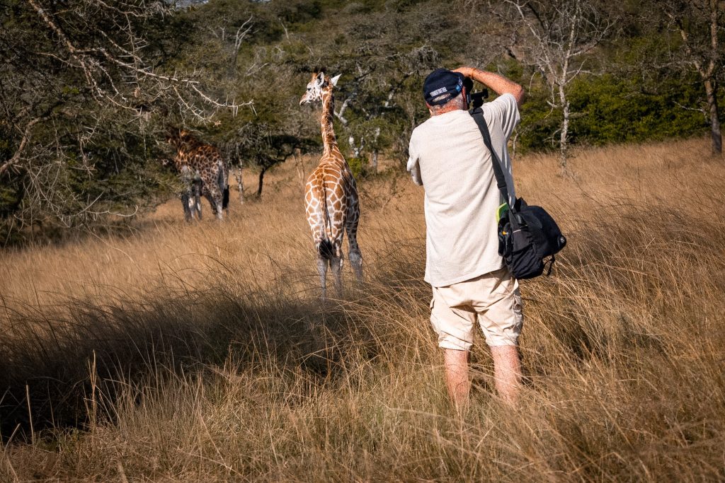 Walk With Giraffes