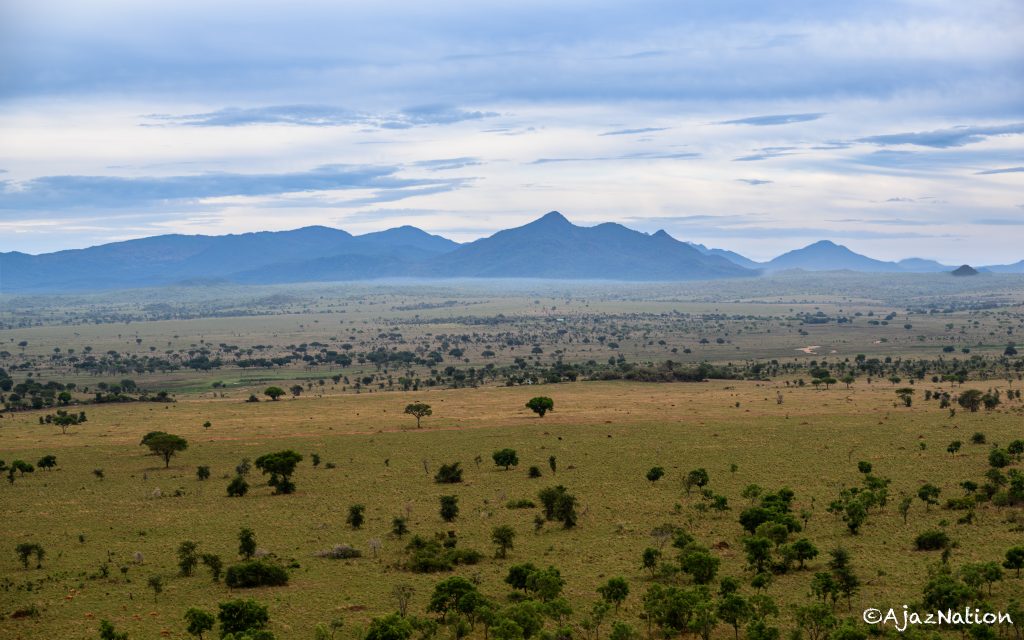 Kidepo Valley to Murchison Falls National Park