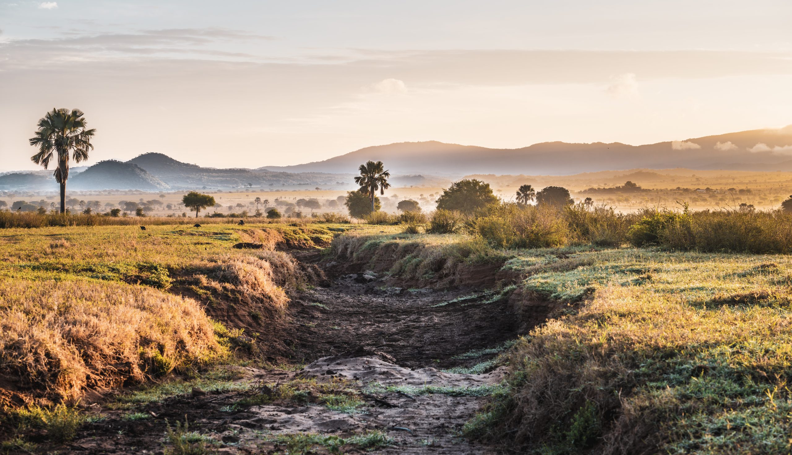  Kidepo Valley Nature Walk and Game Drive