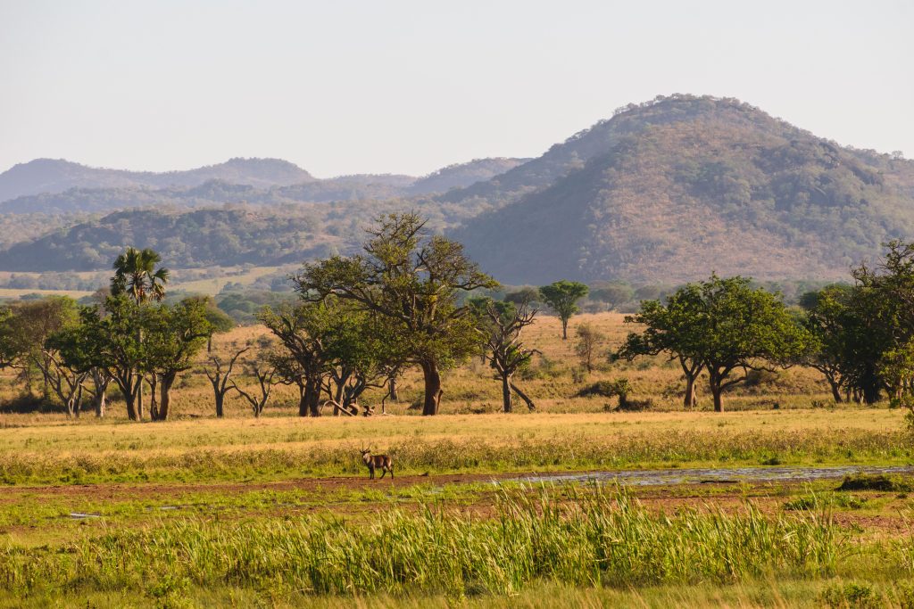  Kidepo Valley Nature Walk and Game Drive