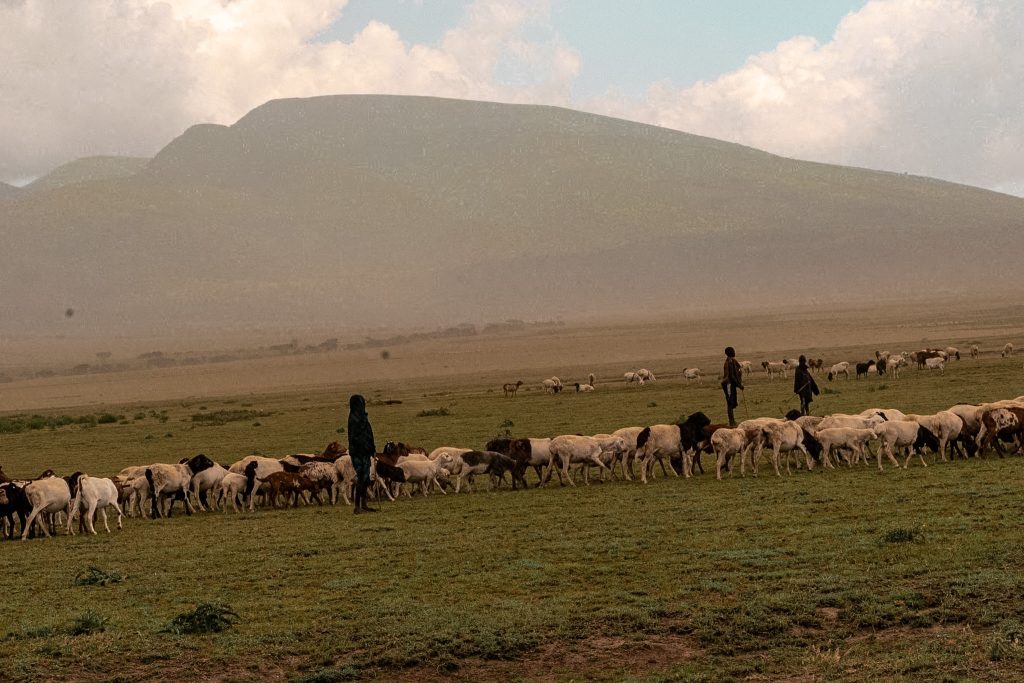 Scenic Drive to Serengeti National Park
