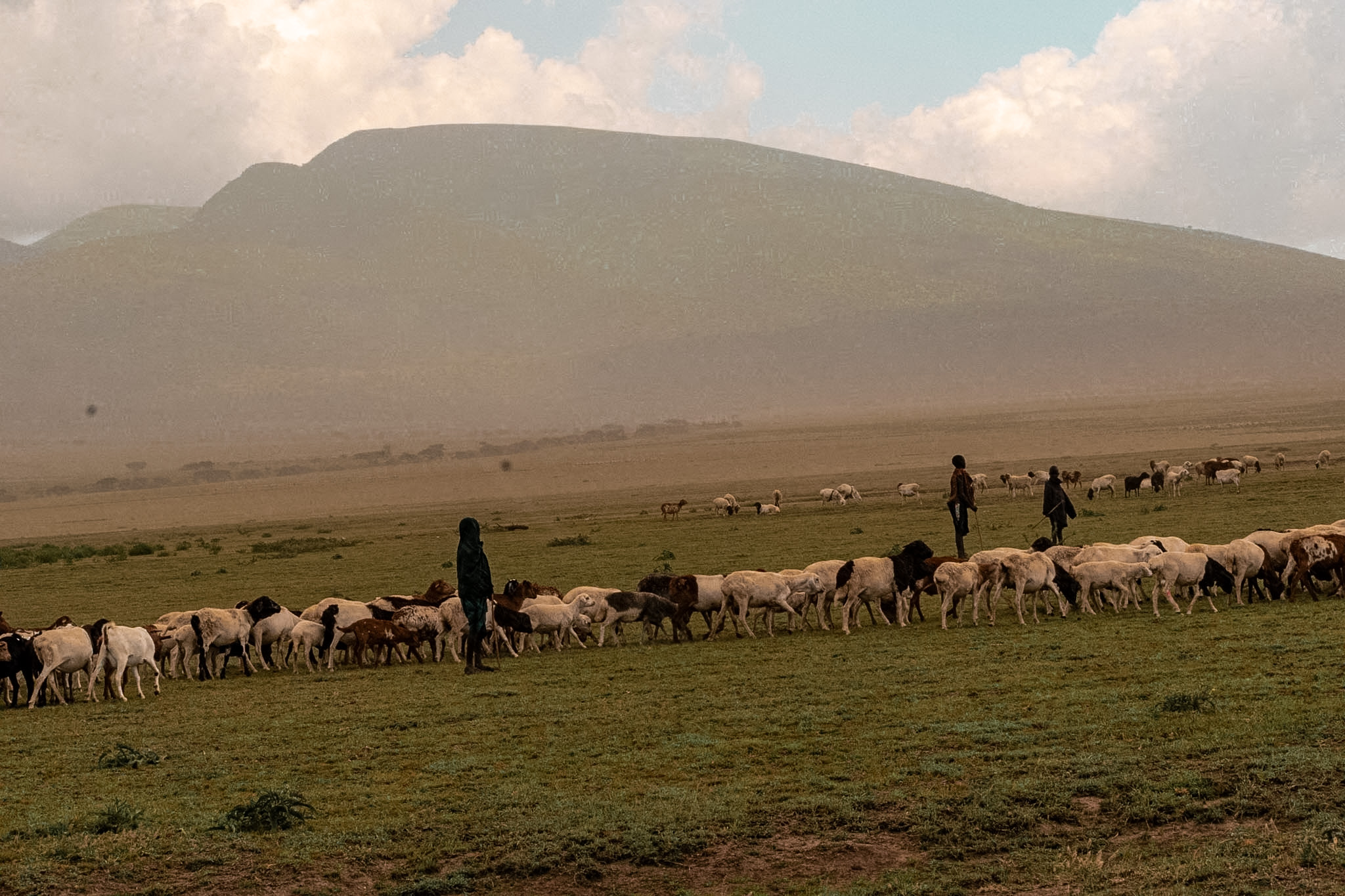 Tarangire to Serengeti National Park – Into the Endless Plains