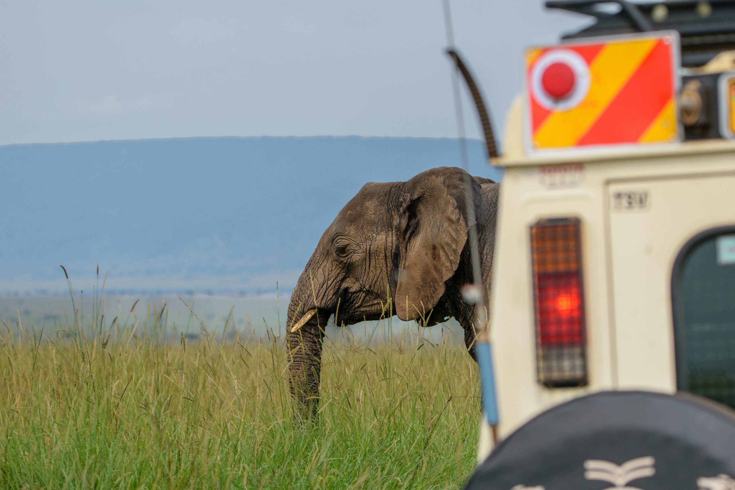 Nairobi to Masai Mara And Afternoon Game Drive