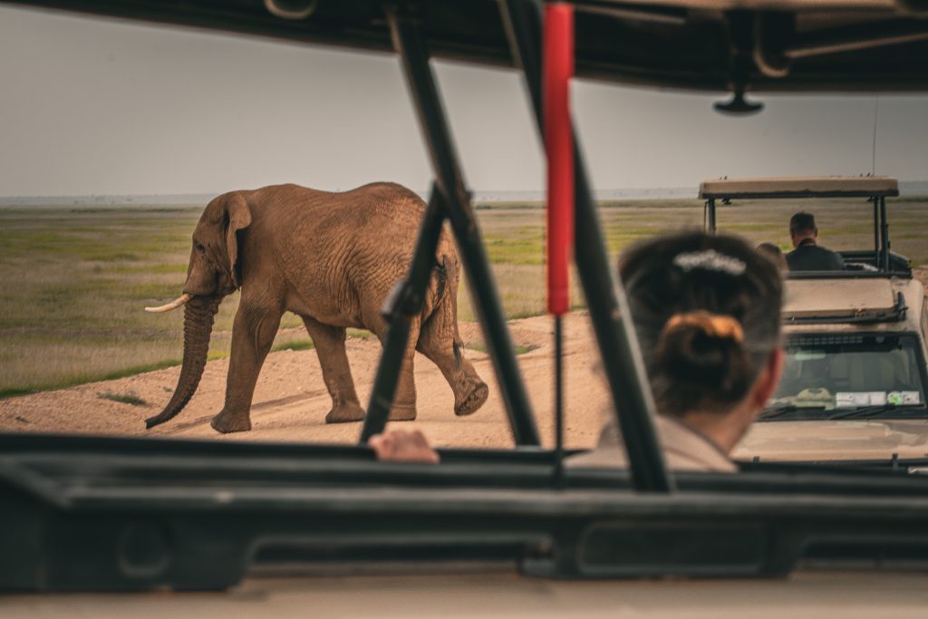 Nairobi to Amboseli National Park
