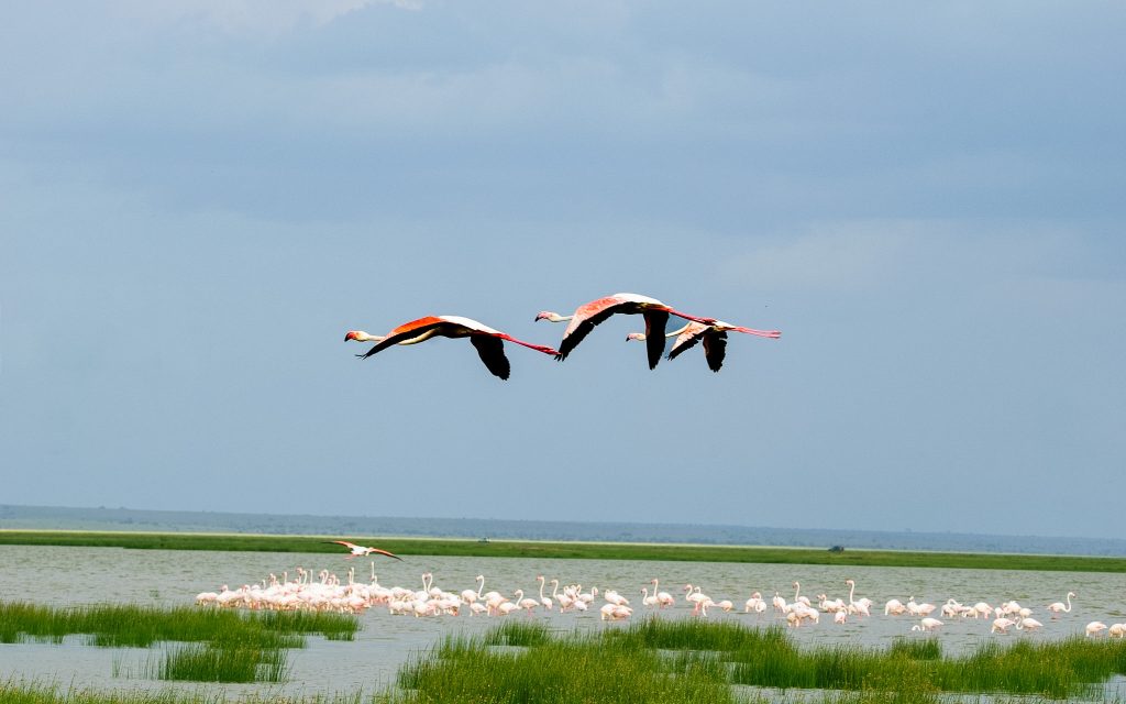 a great birding destination