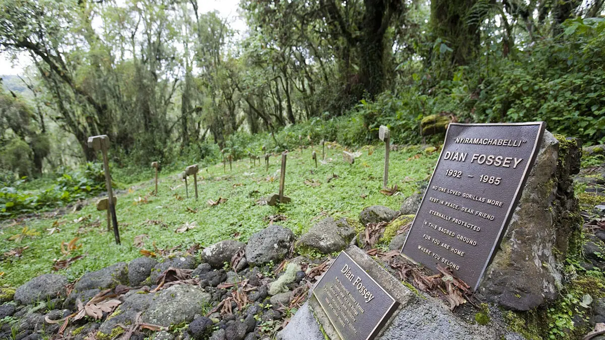 Hike to the Dian Fossey Tomb – Volcanoes Region