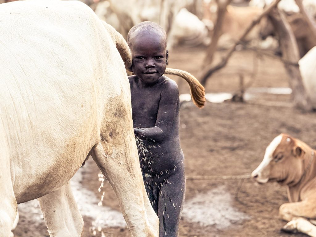  Immersion in Toposa Culture & Pastoral Life