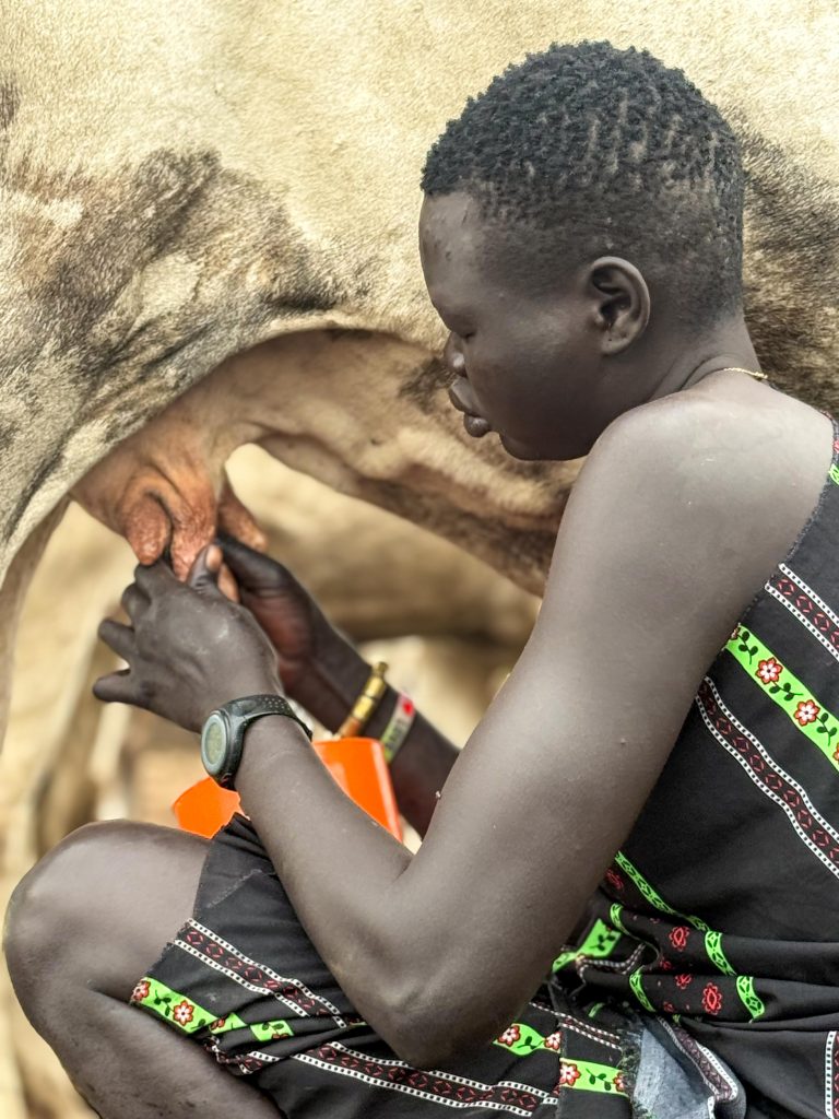 Journey to the Dinka Heartland and Nile River Adventure