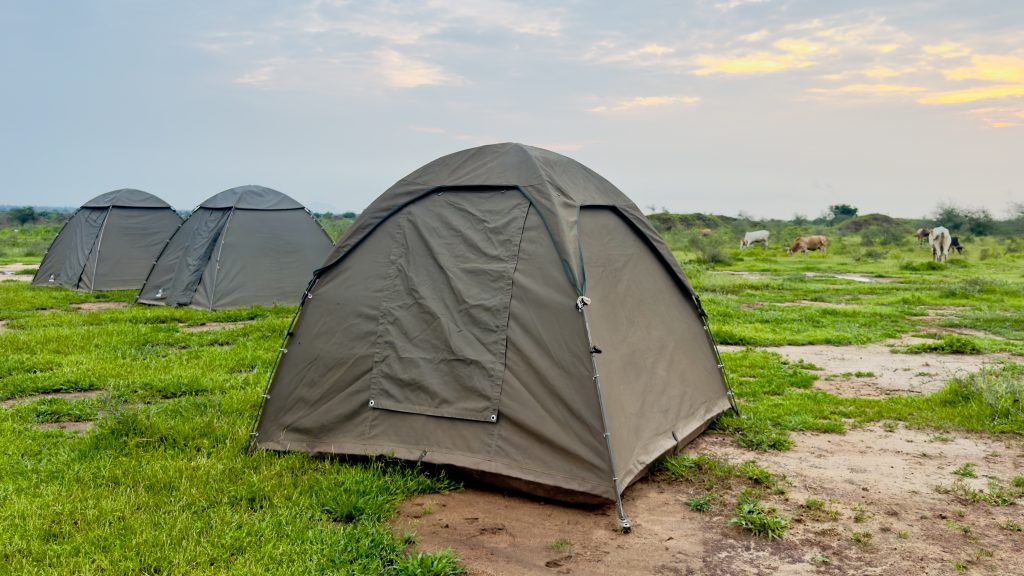 CAMPING