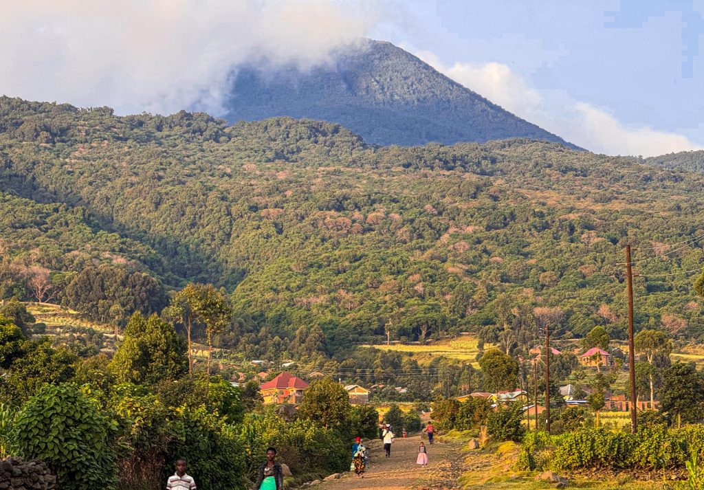  Mgahinga — Mountain Gorilla Trekking