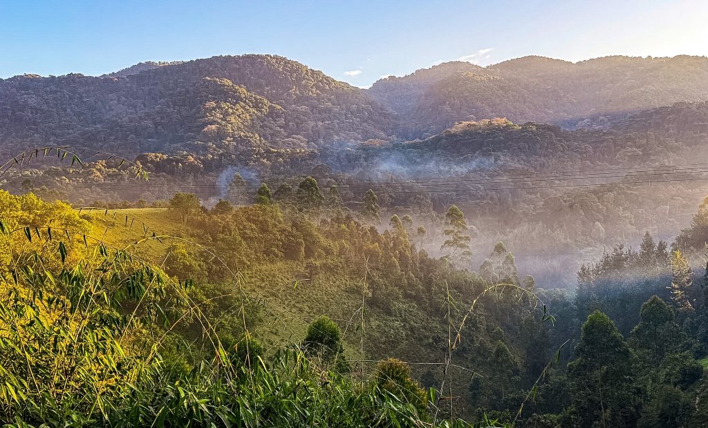 Gorilla Trekking in Bwindi -Transfer to Lake Bunyonyi