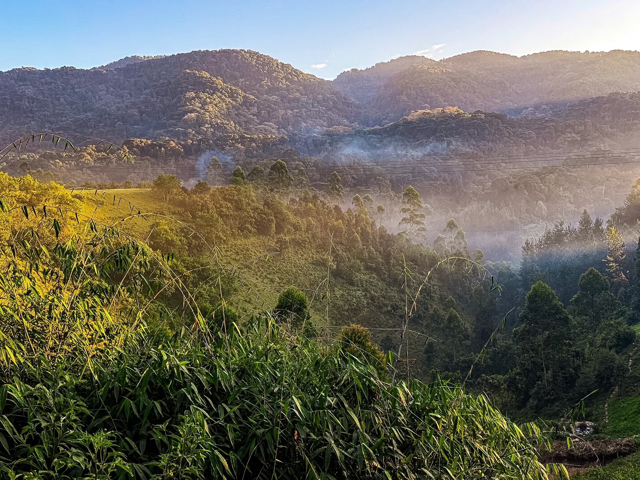 Gorilla Trekking & Batwa Cultural Experience