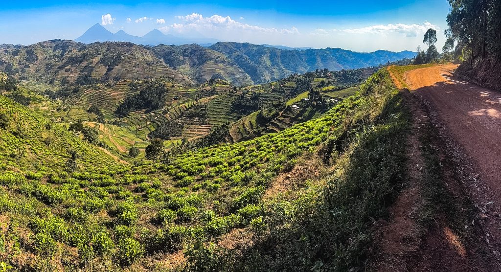 Queen Elizabeth National Park – Ishasha – Bwindi Forest