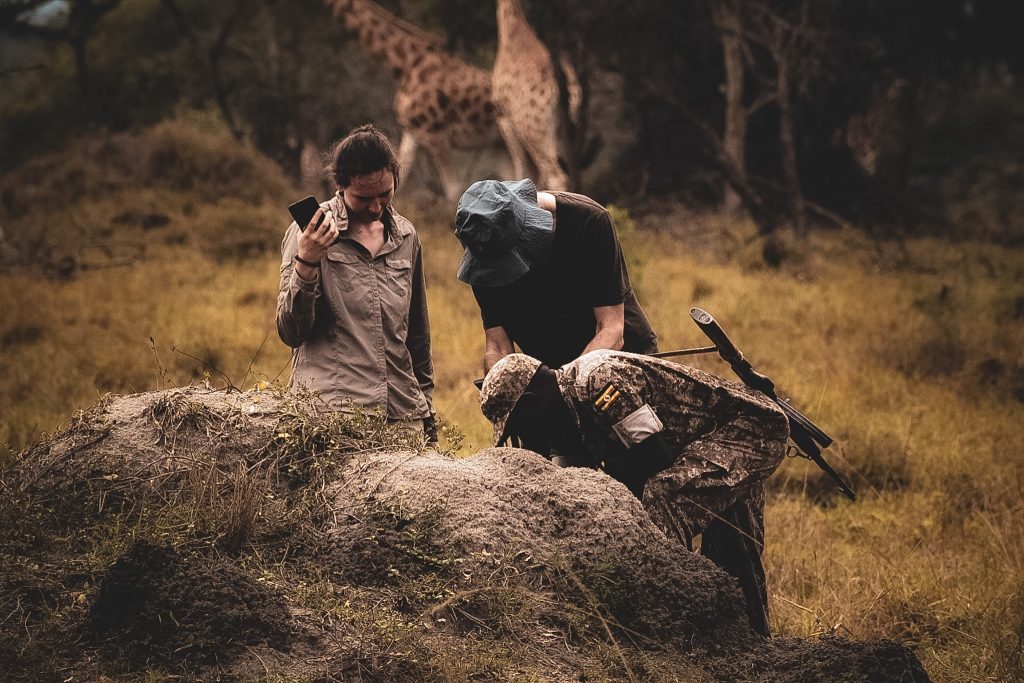  Walking Safari and Transfer to Lake Mburo to Kisoro