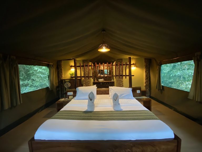 kibale forest camp