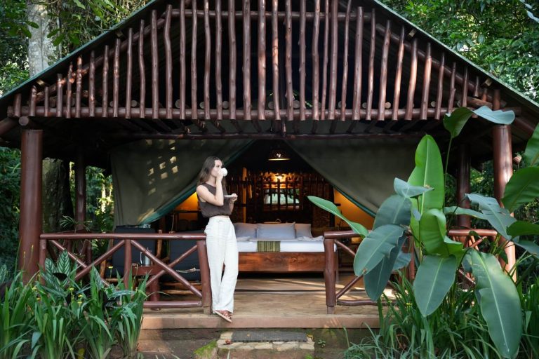 kibale forest camp