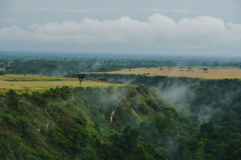 Chimpanzee Trekking in Kyambura Gorge