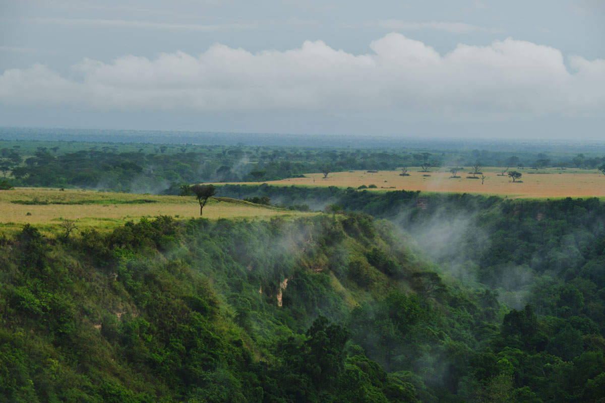 Chimpanzee Trekking in Kyambura Gorge