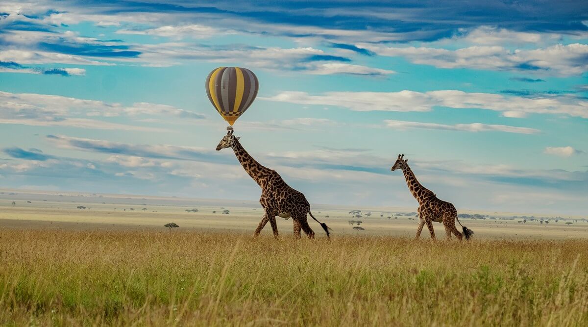 Masai Mara – Serengeti National Park (via Isebania Border)