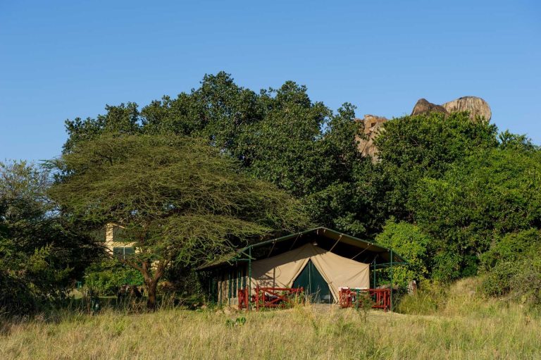 mbuzi mawe serena camp