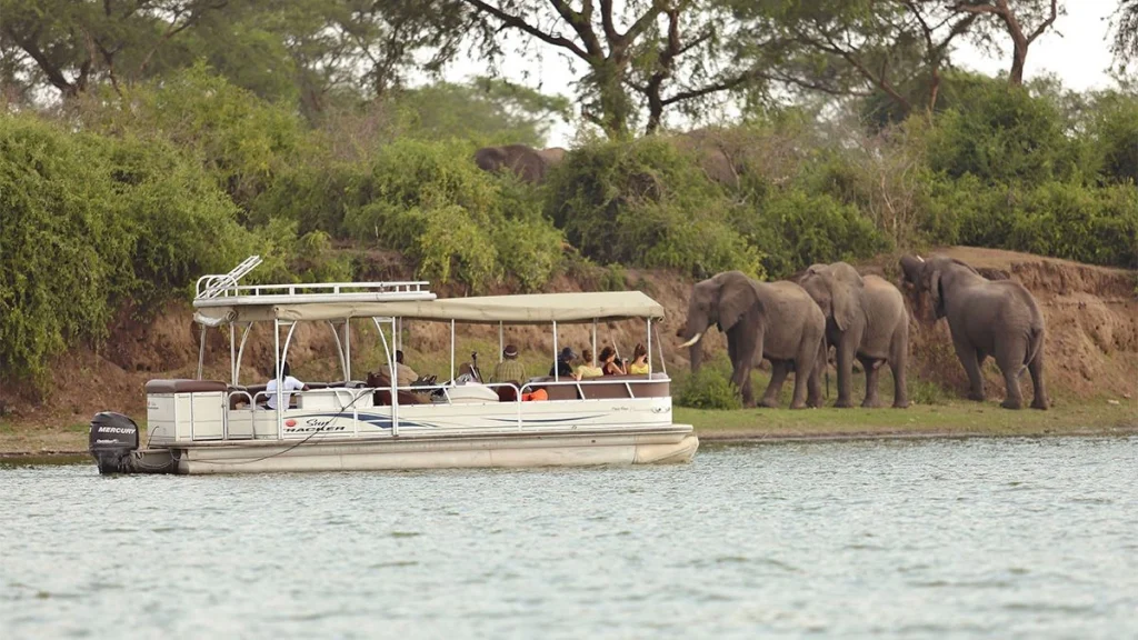 Queen Elizabeth – Game Drive and Kazinga Channel Cruise