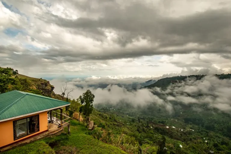 Rafiki lodge sipi