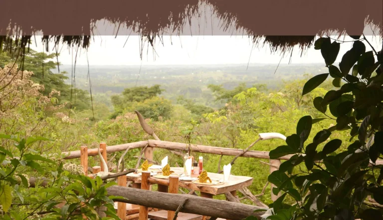 Topi Lodge Ishasha