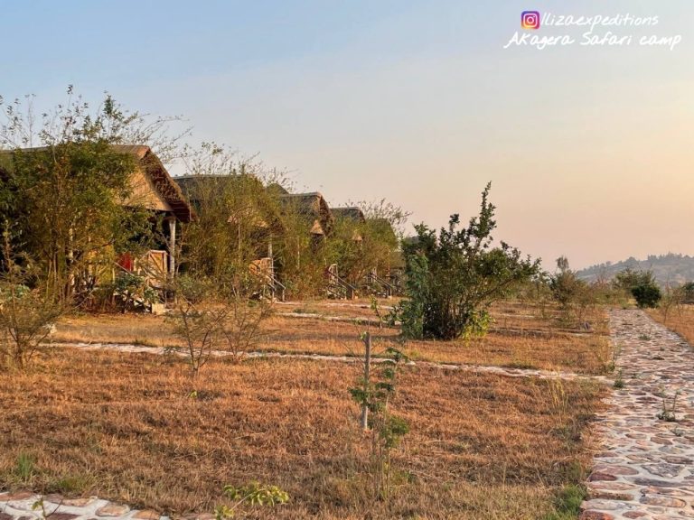 Akagera safari camp