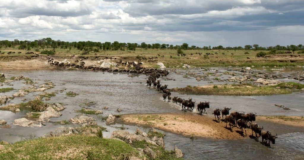 Kogatende and the Northern Serengeti