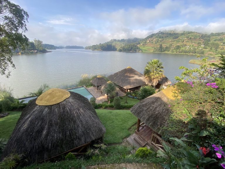 Bird Nest Resort