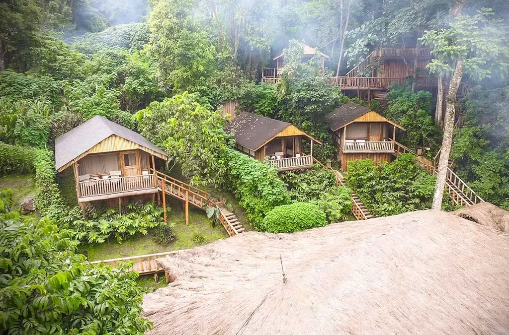 Flight to Bwindi and Optional Nature Activities