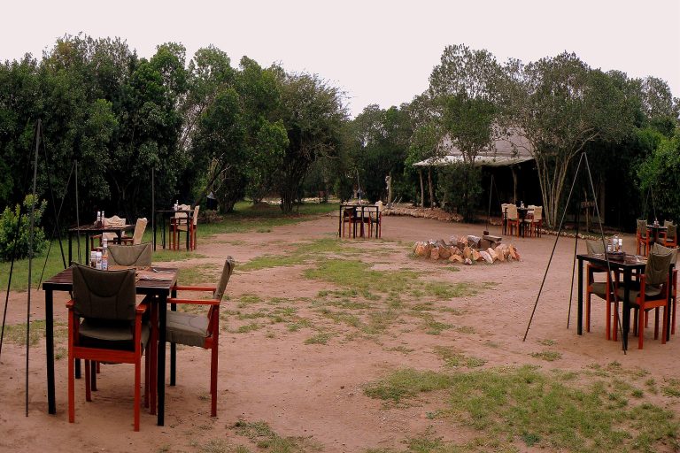 the bush lodge