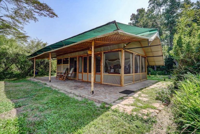 Ishasha Wilderness Camp