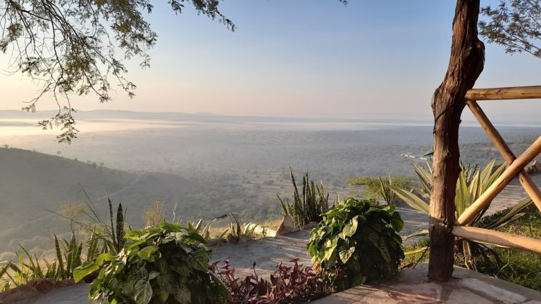 EAGLES NEST mburo