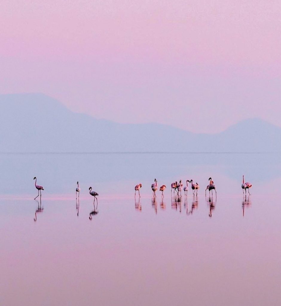 Exploring Lake Natron