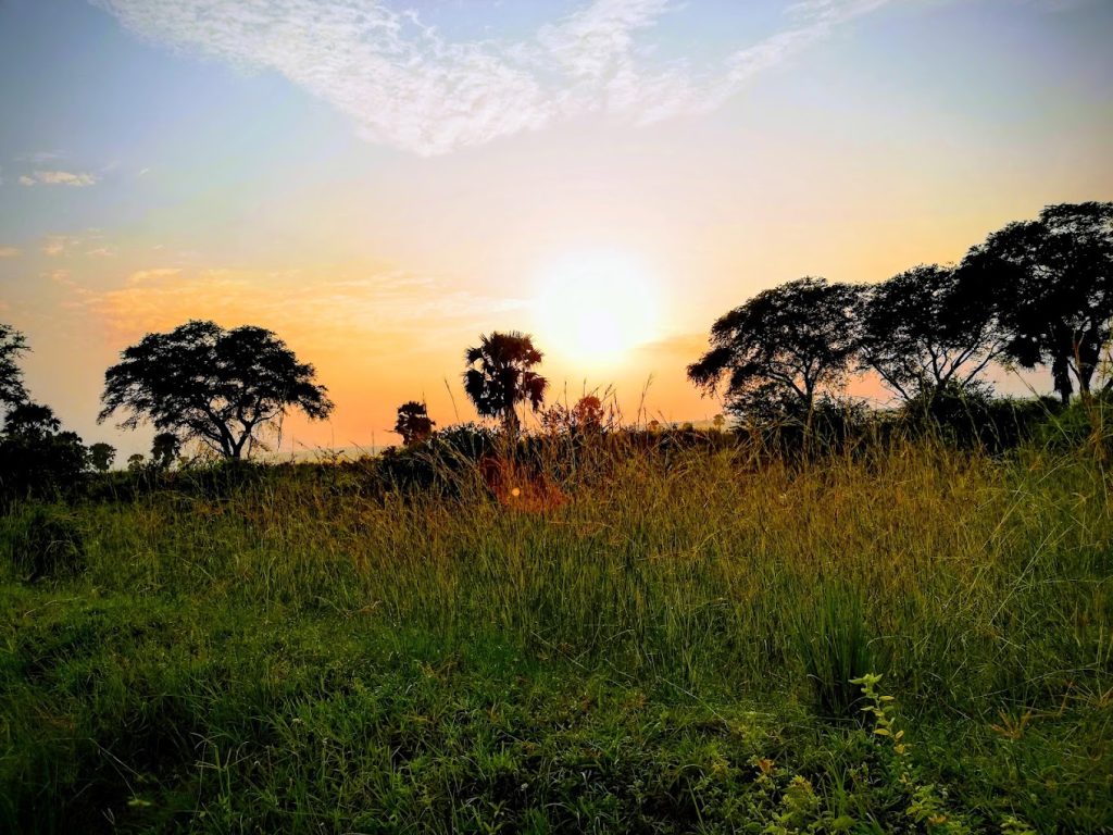 Kidepo Valley to Murchison Falls National Park