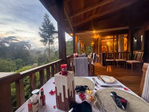 Four Gorillas Lodge
