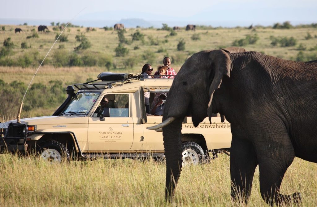Nairobi to Maasai Mara